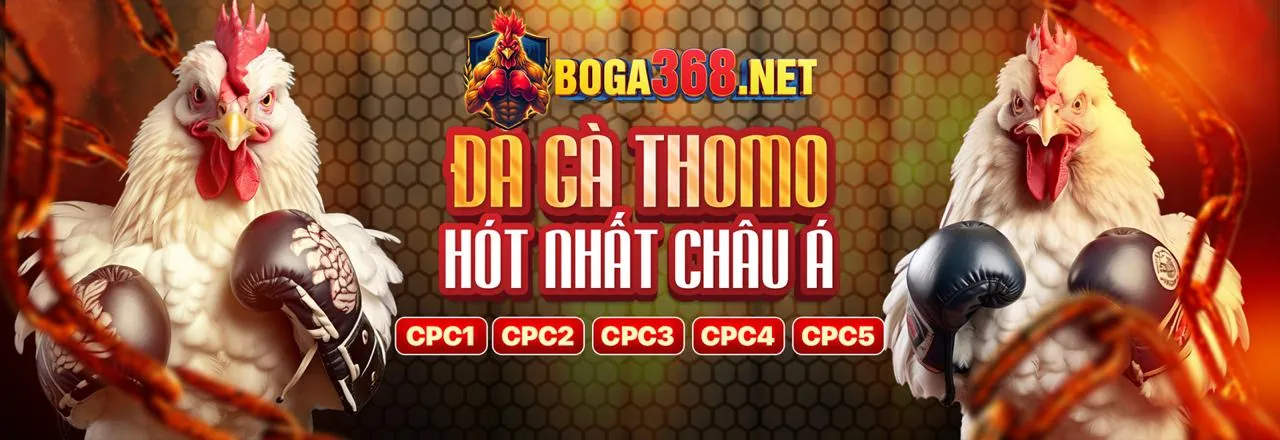 Sân đấu đá gà trực tuyến trên tải goplay00